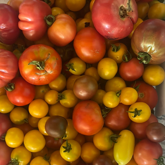 Mix of Heirloom Tomatoes