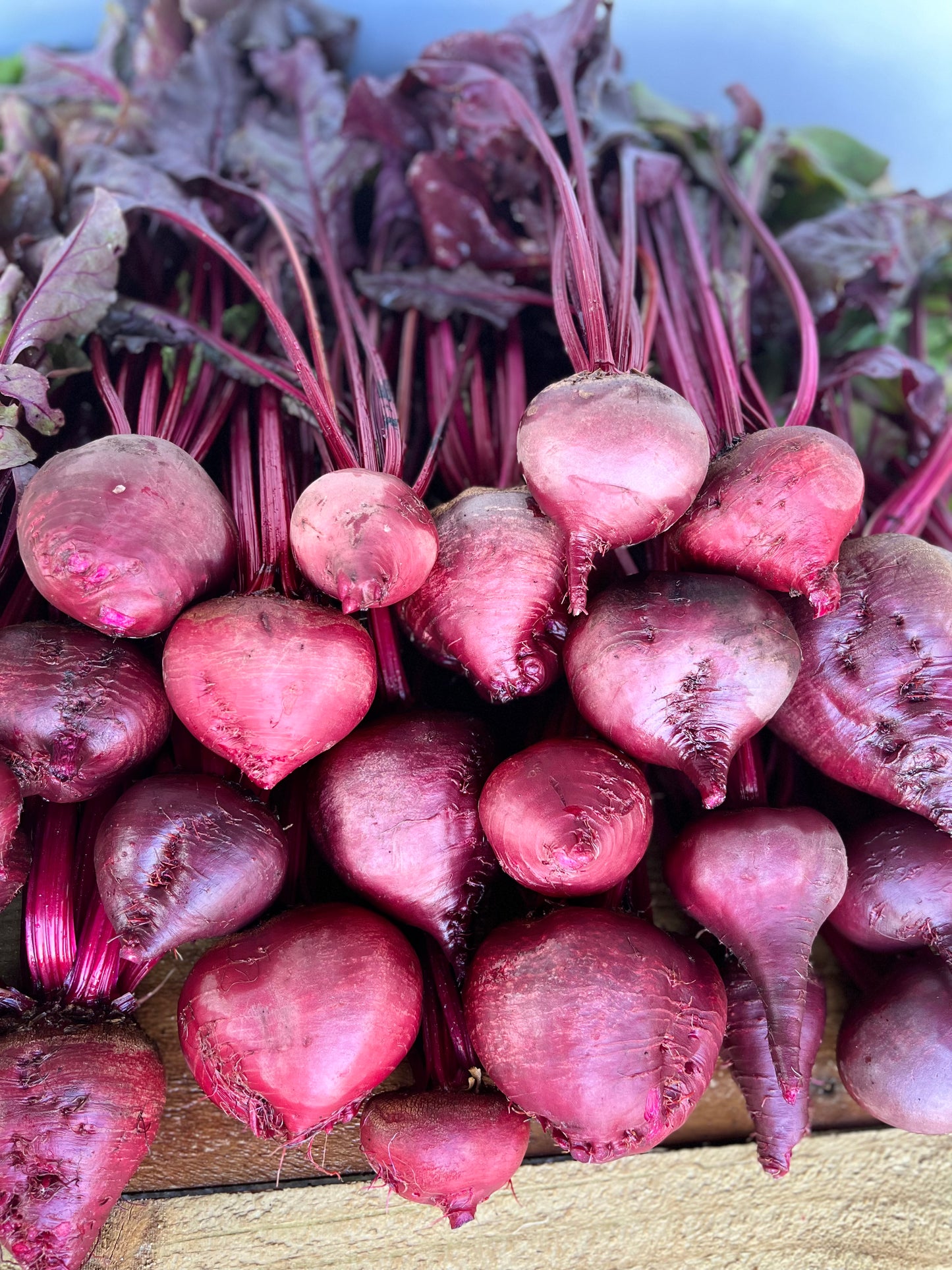 Beetroot